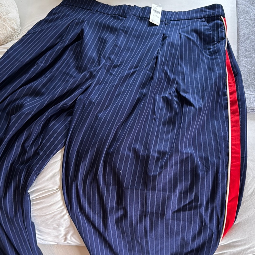 Navy Pinstripe Pants with Red Stripe